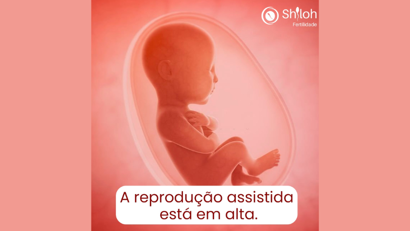 Produtos comuns podem esconder riscos à fertilidade, como destaca Oluwatosin Tolulope Ajidahun.