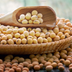 Impactos das Oscilações do Dólar no Mercado da Soja Brasileira e as Perspectivas do Agronegócio