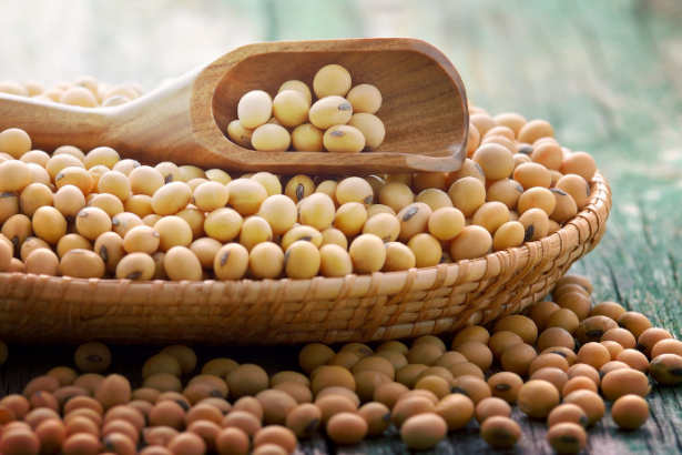 Impactos das Oscilações do Dólar no Mercado da Soja Brasileira e as Perspectivas do Agronegócio