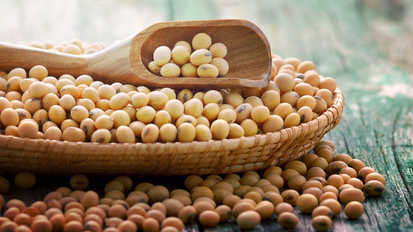 Impactos das Oscilações do Dólar no Mercado da Soja Brasileira e as Perspectivas do Agronegócio