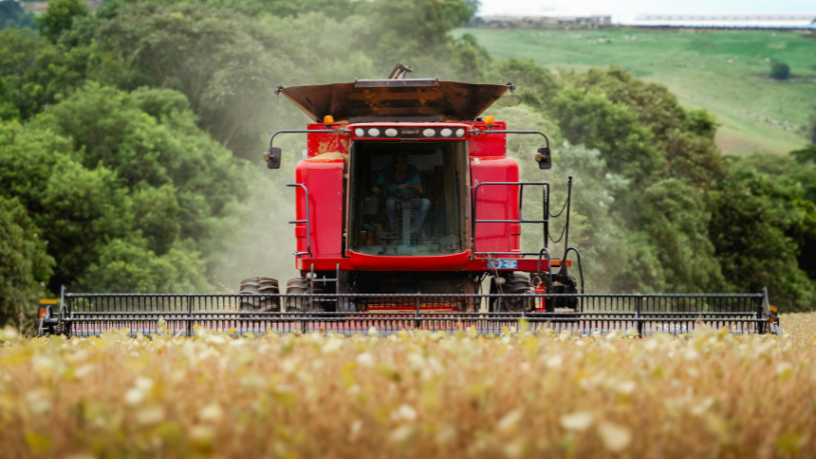 Tendências do Agronegócio Políticas e Preços Ajustados: Estratégias para um Setor em Transformação