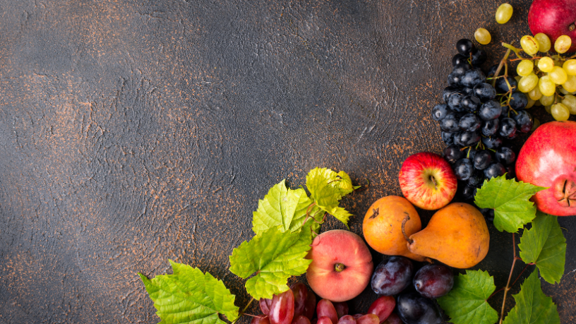 Piauí Revoluciona a Produção de Frutas com Soluções Sustentáveis e Inovação