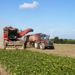 Goiás impulsiona sustentabilidade no agronegócio com inovação e políticas públicas estratégicas