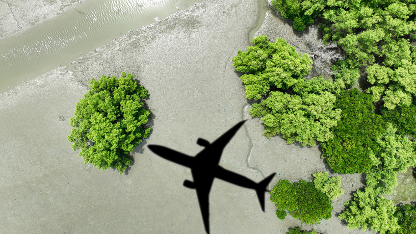 Como praticar turismo consciente com Marcio Pires de Moraes e contribuir para um mundo mais sustentável.