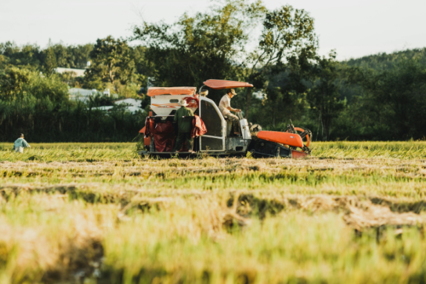 Tecnologia no Agronegócio Impulsiona Exportações Recordes e Fortalece a Competitividade do Brasil