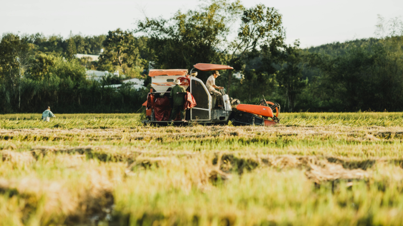 Tecnologia no Agronegócio Impulsiona Exportações Recordes e Fortalece a Competitividade do Brasil