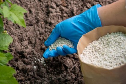 Dependência de fertilizantes importados ameaça o agronegócio brasileiro e expõe fragilidade produtiva