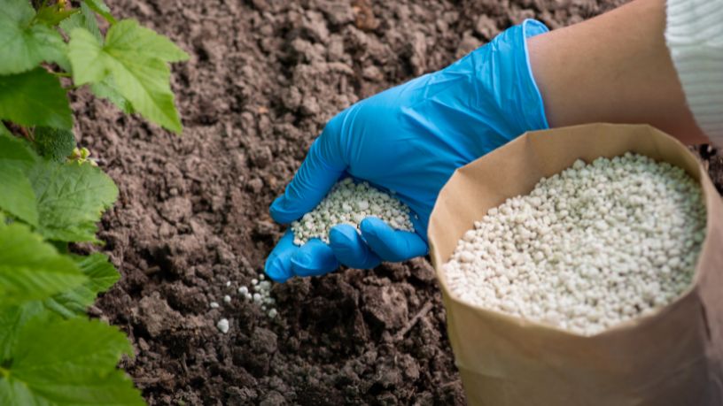 Dependência de fertilizantes importados ameaça o agronegócio brasileiro e expõe fragilidade produtiva