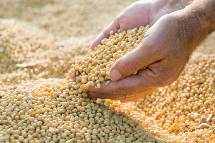 Inspeção de soja Brasil-China: impactos no agronegócio e desafios para exportadores