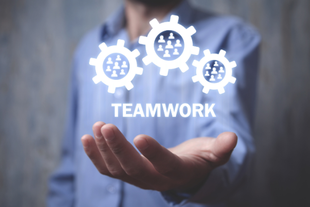 Renato de Castro Longo Furtado Vianna