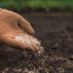 Dependência de adubo importado expõe fragilidade do agronegócio brasileiro em cenário de conflitos globais