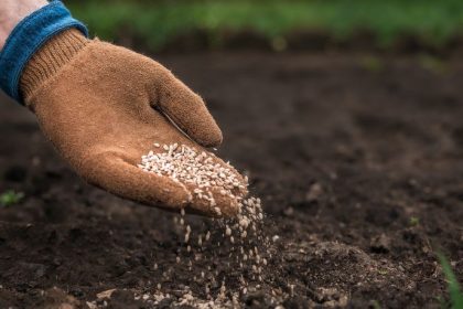 Dependência de adubo importado expõe fragilidade do agronegócio brasileiro em cenário de conflitos globais