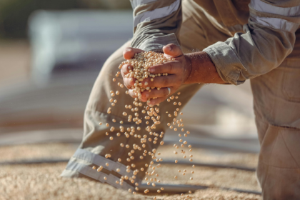 Soja em MS e a revisão de produtividade que pode impulsionar uma safra recorde no agronegócio brasileiro