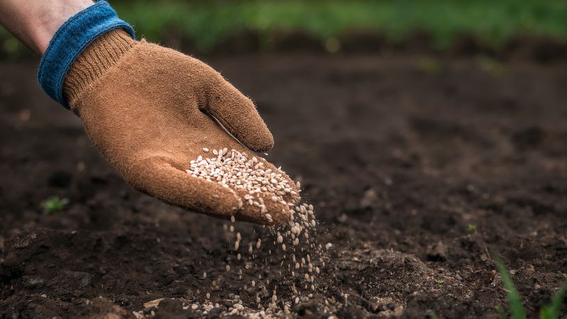 Dependência de adubo importado expõe fragilidade do agronegócio brasileiro em cenário de conflitos globais
