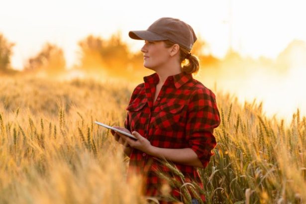 Tecnologia no Agronegócio: Parceria da Embrapa impulsiona pequenos e médios produtores