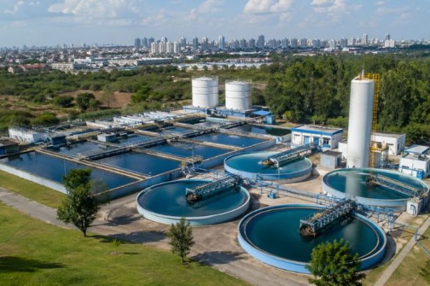 Odair José Mannrich