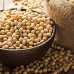 Preço da soja em alta nos portos reacende expectativa positiva para o agronegócio brasileiro