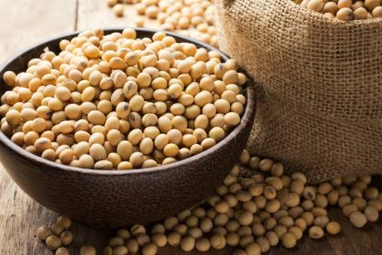Preço da soja em alta nos portos reacende expectativa positiva para o agronegócio brasileiro