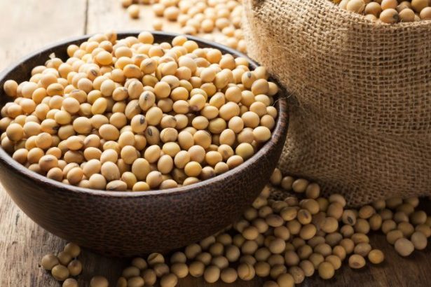 Preço da soja em alta nos portos reacende expectativa positiva para o agronegócio brasileiro