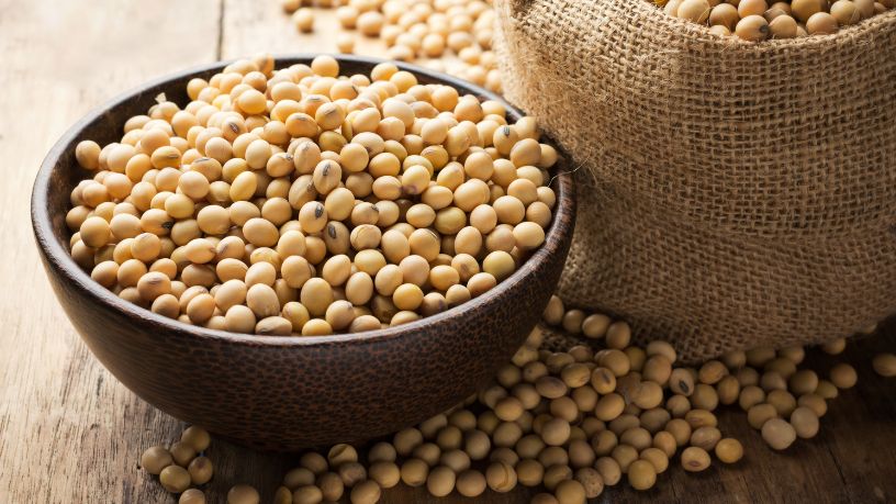 Preço da soja em alta nos portos reacende expectativa positiva para o agronegócio brasileiro