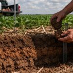 Nova patente pode reduzir custos no agronegócio e transformar análise de solos coesos no Brasil