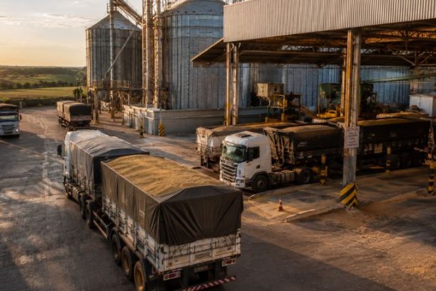 Agronegócio impulsiona empregos no Brasil e amplia oportunidades além do campo