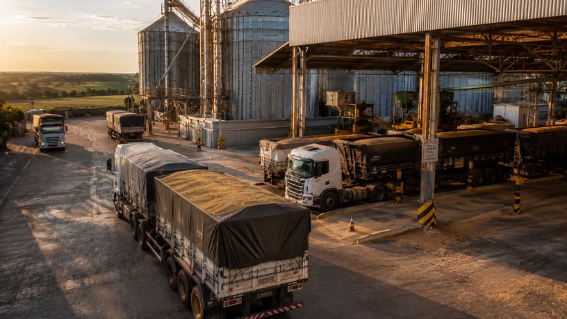 Agronegócio impulsiona empregos no Brasil e amplia oportunidades além do campo