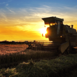 Exportações do agronegócio batem recorde em maio e passam de 50% das vendas externas do país