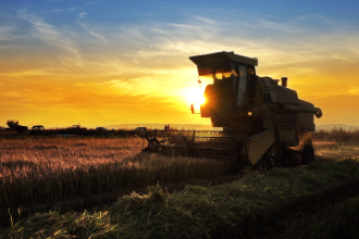 Exportações do agronegócio batem recorde em maio e passam de 50% das vendas externas do país