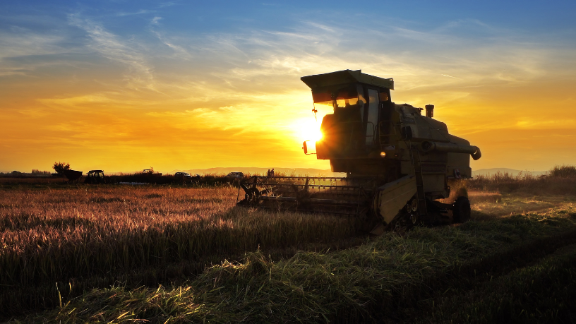 Exportações do agronegócio batem recorde em maio e passam de 50% das vendas externas do país
