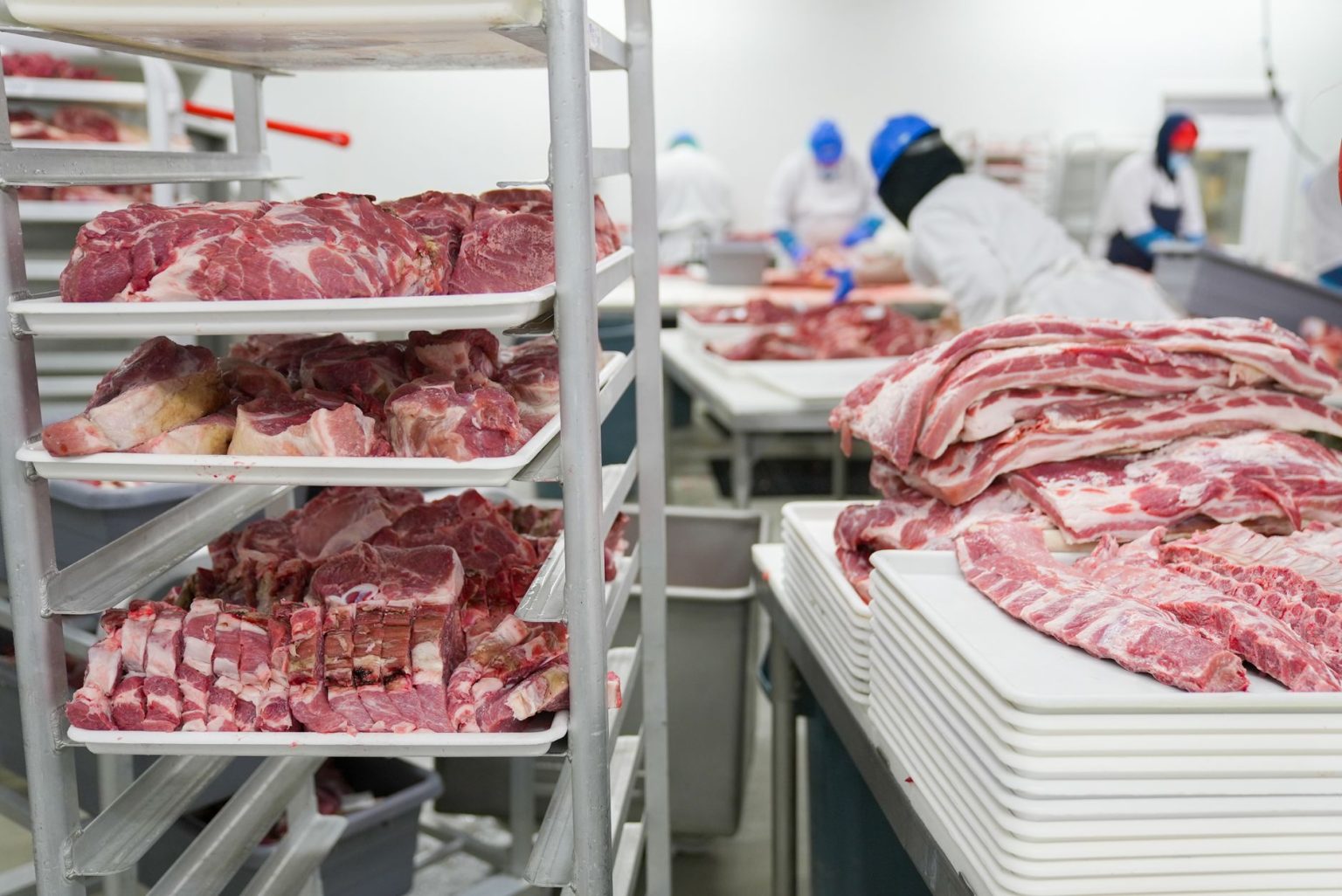 Trabalhadores manipulam cortes de carne em bandejas dentro de uma unidade industrial de processamento de alimentos.